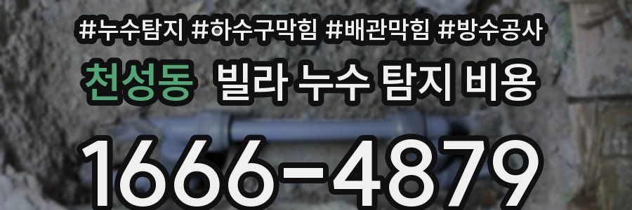 천성동 빌라 누수 탐지 비용