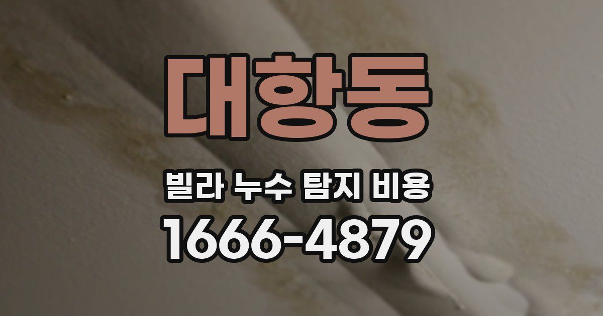 대항동 빌라 누수 탐지 비용