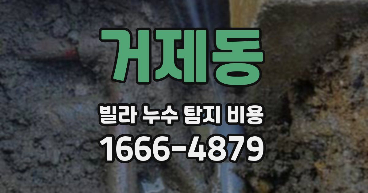 거제동 빌라 누수 탐지 비용