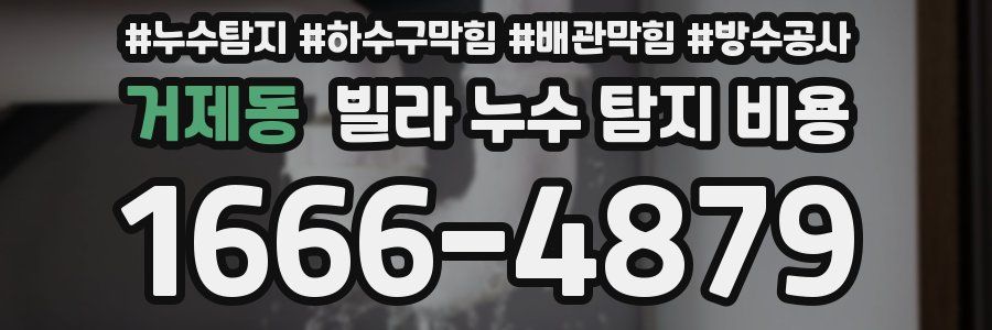 거제동 빌라 누수 탐지 비용