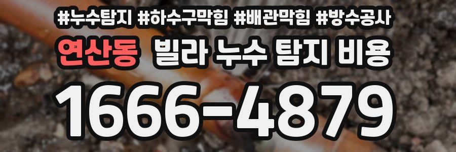 연산동 빌라 누수 탐지 비용