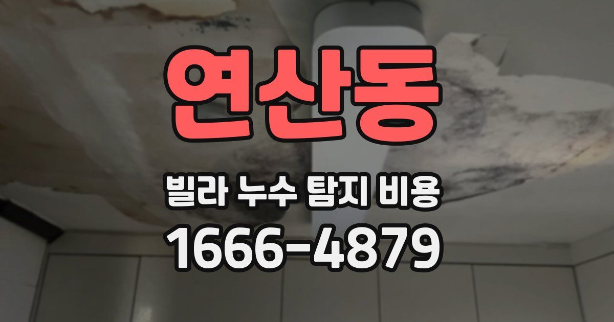 연산동 빌라 누수 탐지 비용