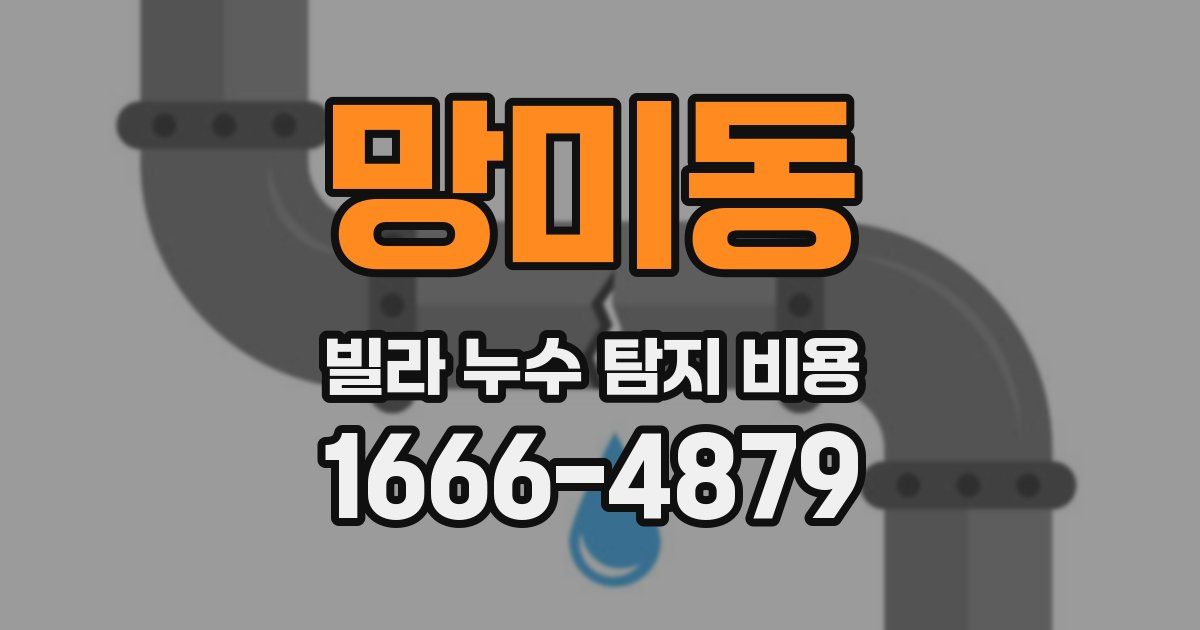 망미동 빌라 누수 탐지 비용