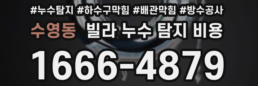 수영동 빌라 누수 탐지 비용