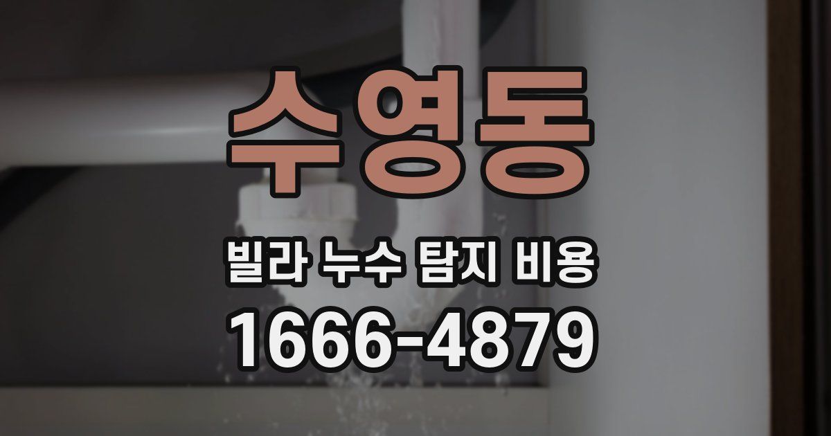 수영동 빌라 누수 탐지 비용