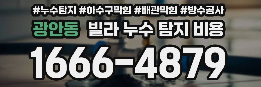 광안동 빌라 누수 탐지 비용
