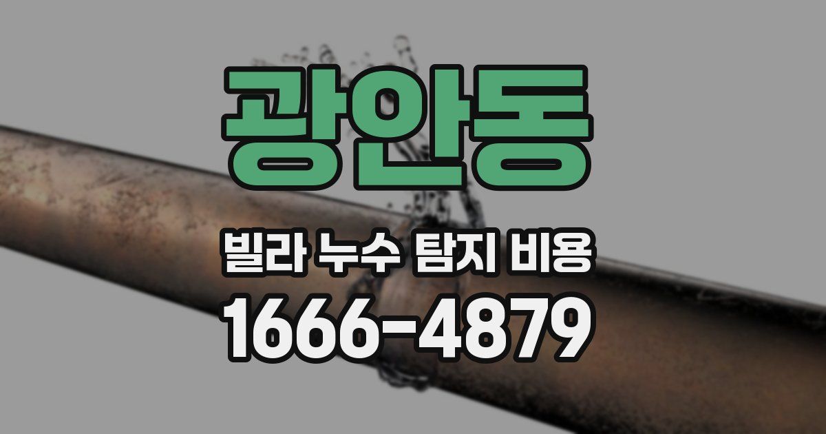 광안동 빌라 누수 탐지 비용