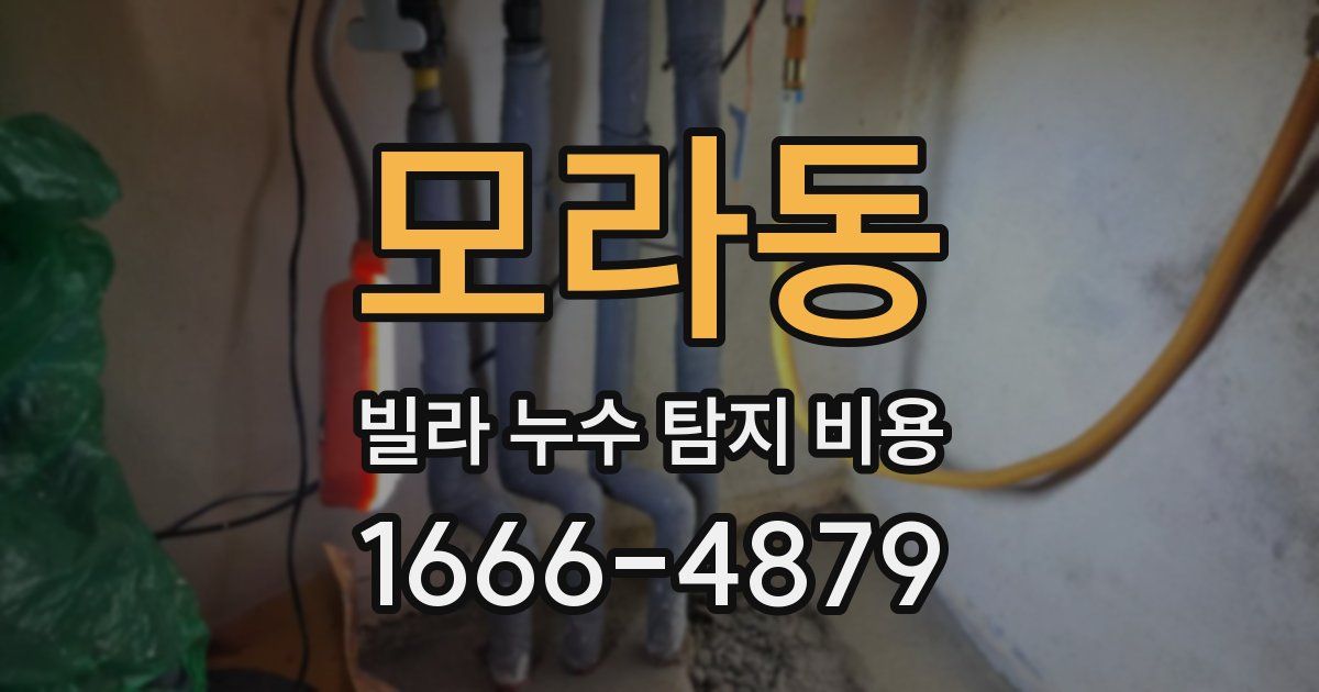 모라동 빌라 누수 탐지 비용