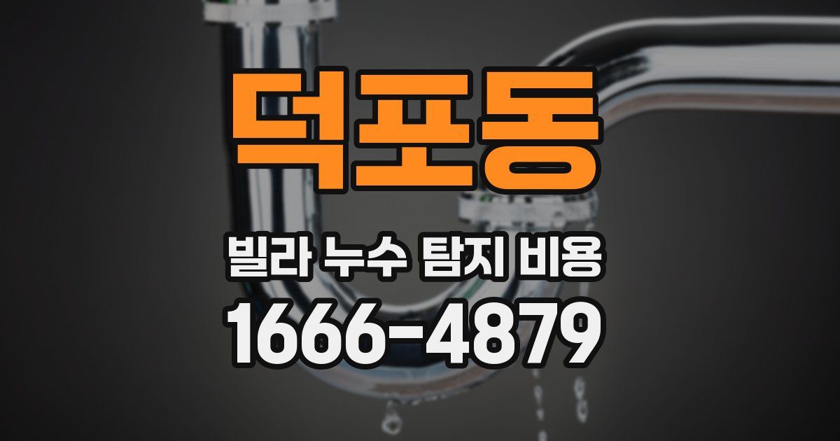 덕포동 빌라 누수 탐지 비용