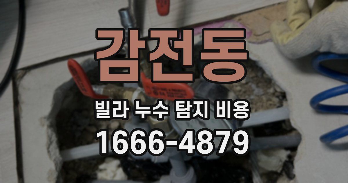 감전동 빌라 누수 탐지 비용