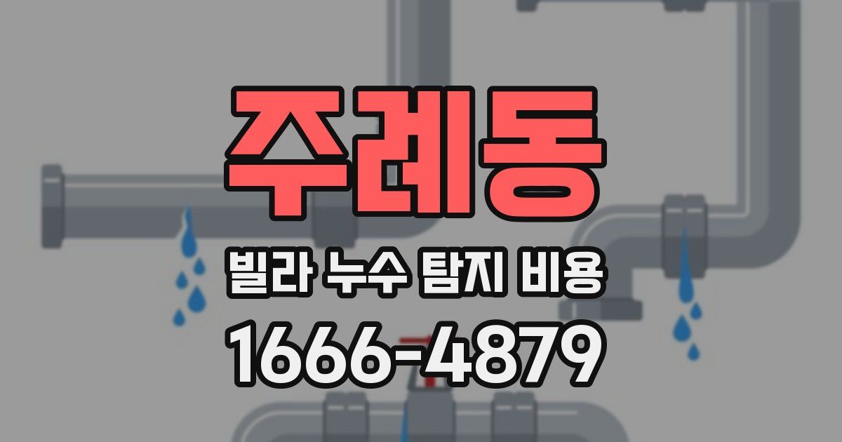 주례동 빌라 누수 탐지 비용