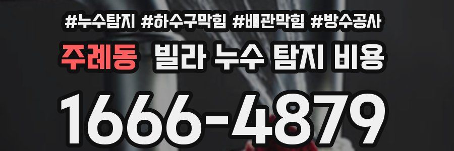 주례동 빌라 누수 탐지 비용