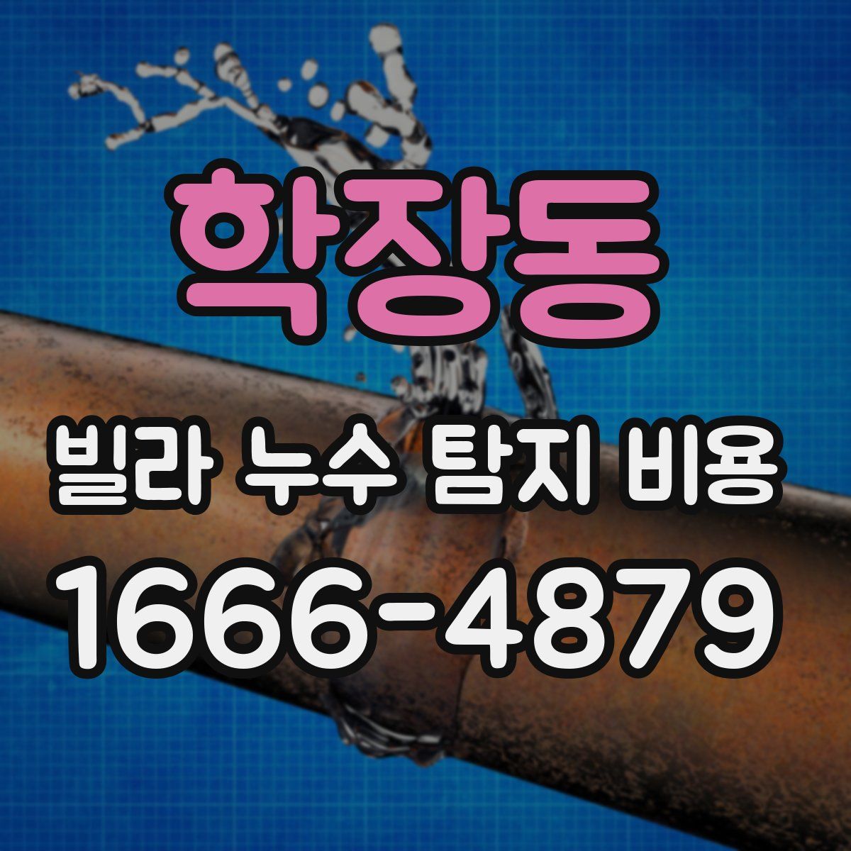 학장동 빌라 누수 탐지 비용