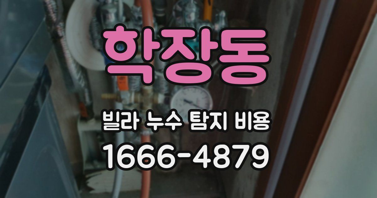 학장동 빌라 누수 탐지 비용