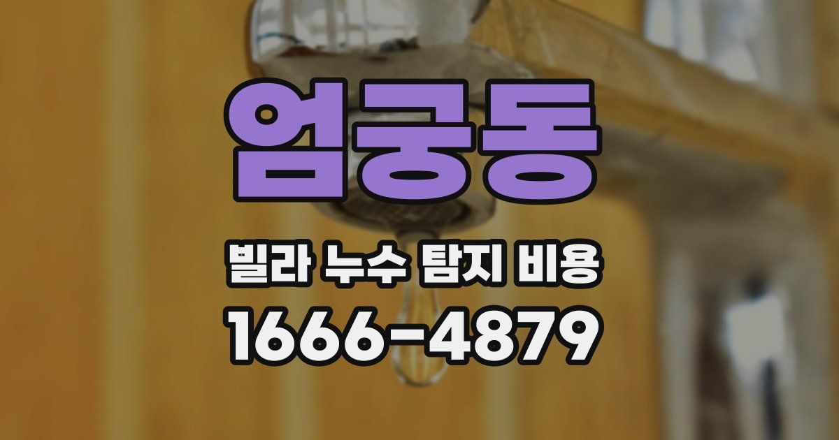 엄궁동 빌라 누수 탐지 비용