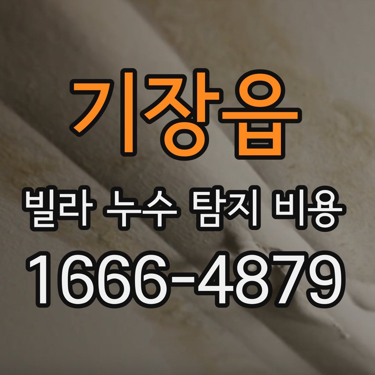 기장읍 빌라 누수 탐지 비용