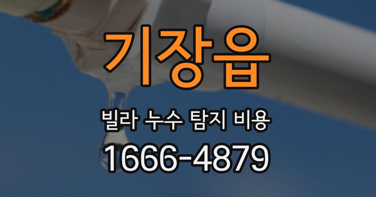 기장읍 빌라 누수 탐지 비용
