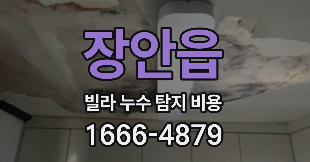 장안읍 빌라 누수 탐지 비용