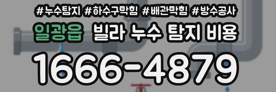 일광읍 빌라 누수 탐지 비용