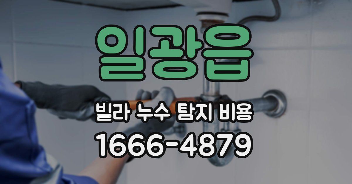 일광읍 빌라 누수 탐지 비용