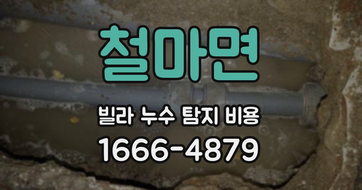 철마면 빌라 누수 탐지 비용