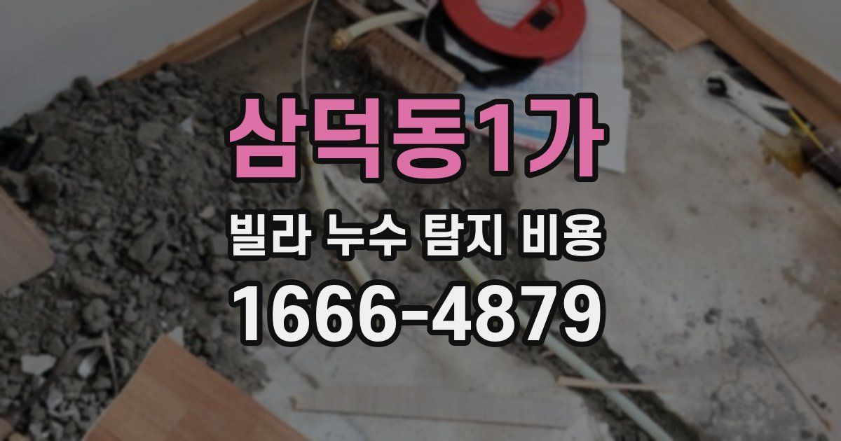 삼덕동1가 빌라 누수 탐지 비용