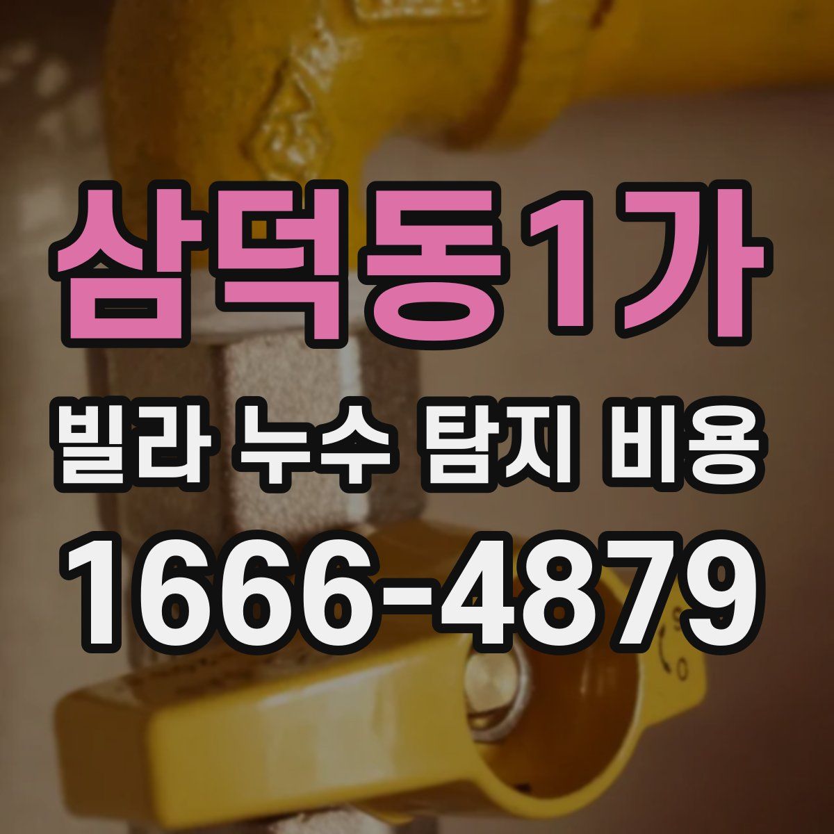 삼덕동1가 빌라 누수 탐지 비용
