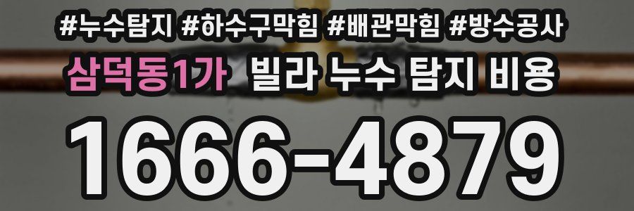 삼덕동1가 빌라 누수 탐지 비용