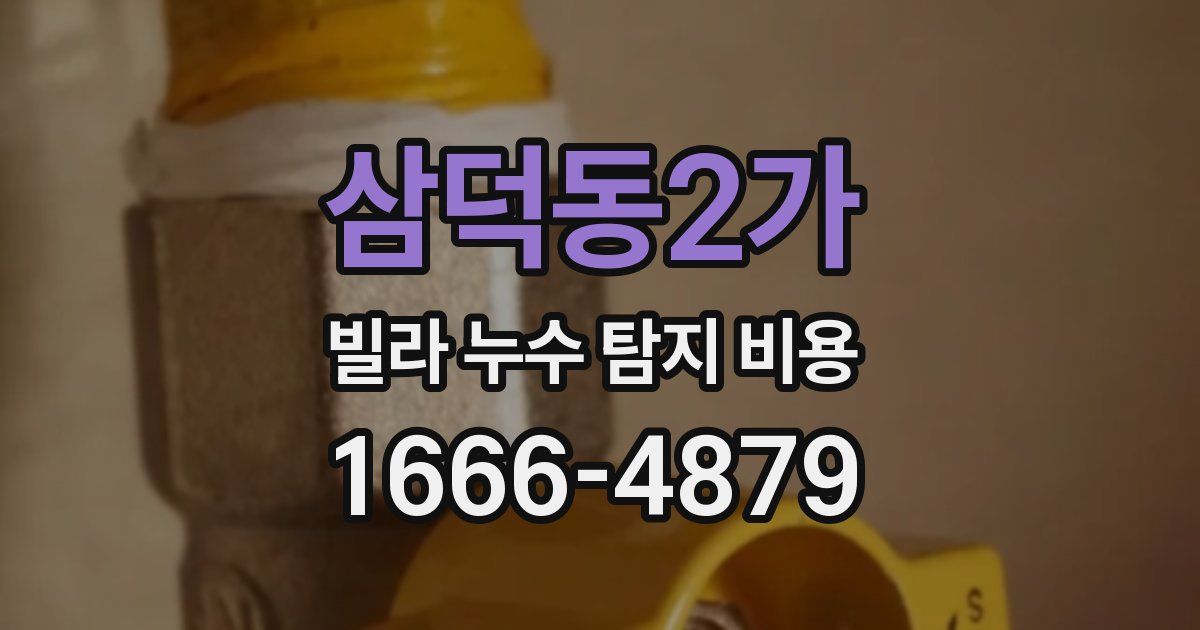 삼덕동2가 빌라 누수 탐지 비용