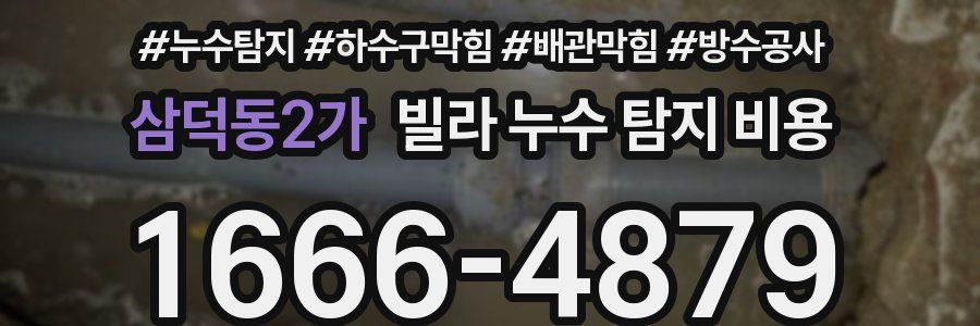 삼덕동2가 빌라 누수 탐지 비용