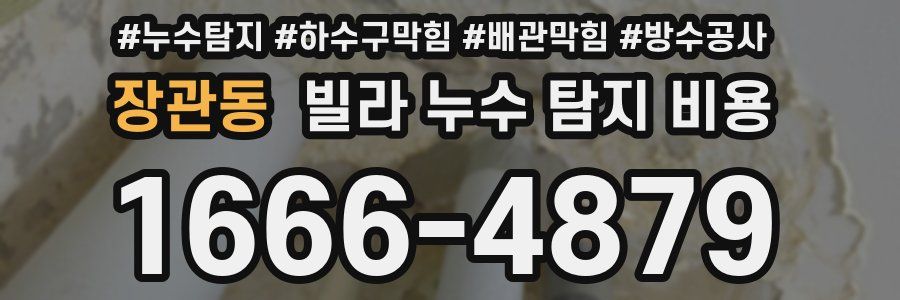 장관동 빌라 누수 탐지 비용