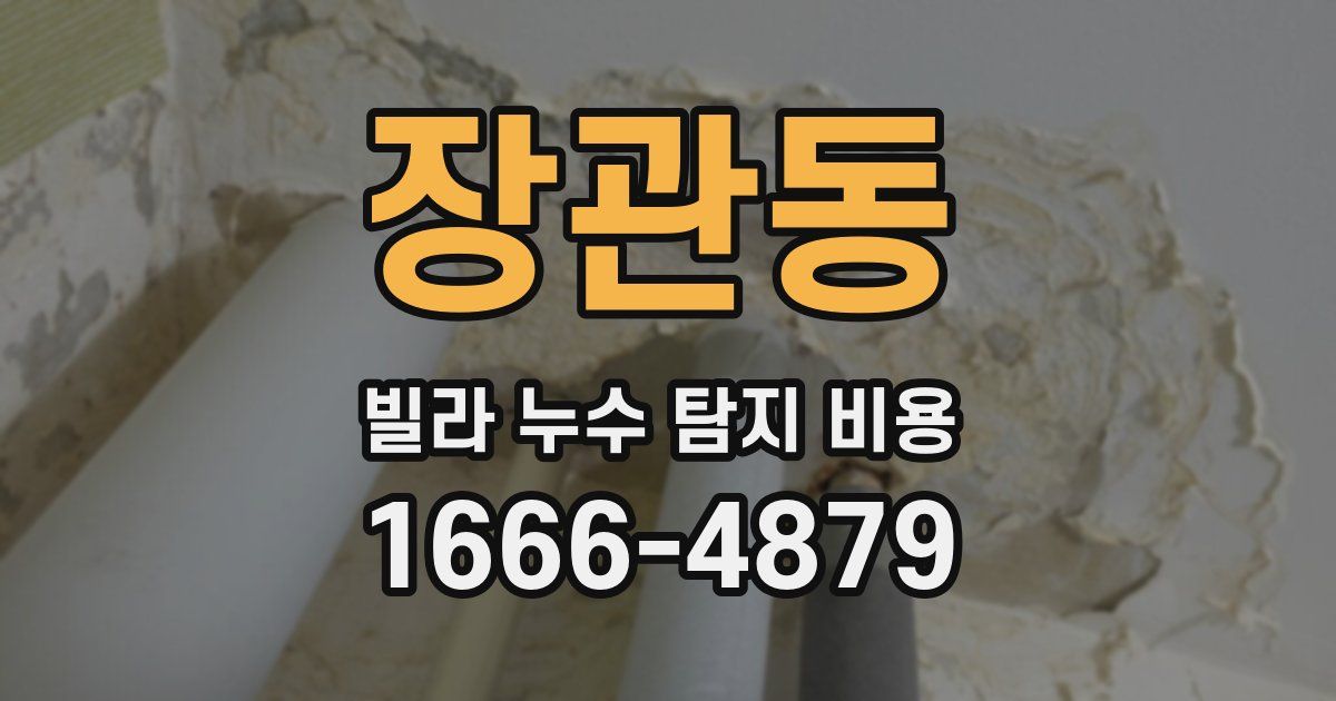 장관동 빌라 누수 탐지 비용
