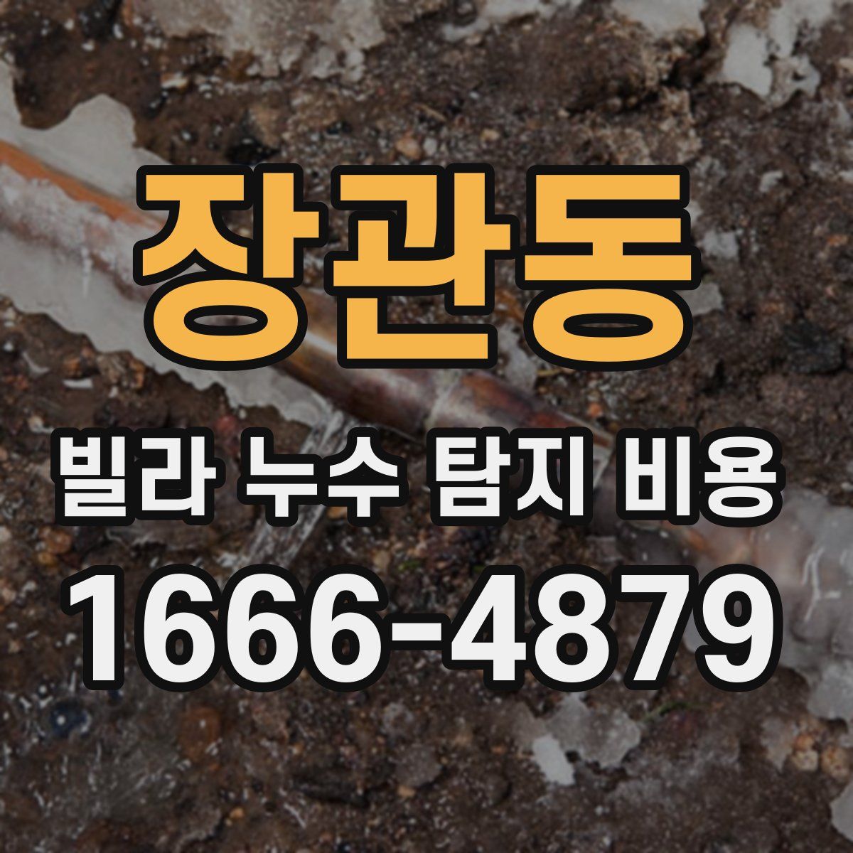 장관동 빌라 누수 탐지 비용