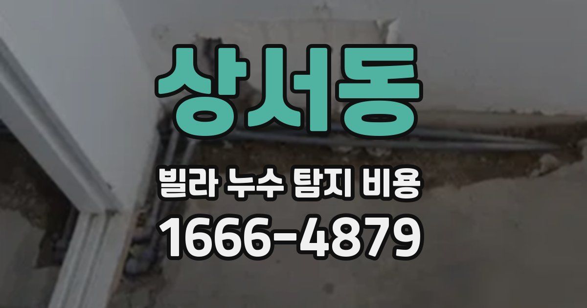 상서동 빌라 누수 탐지 비용