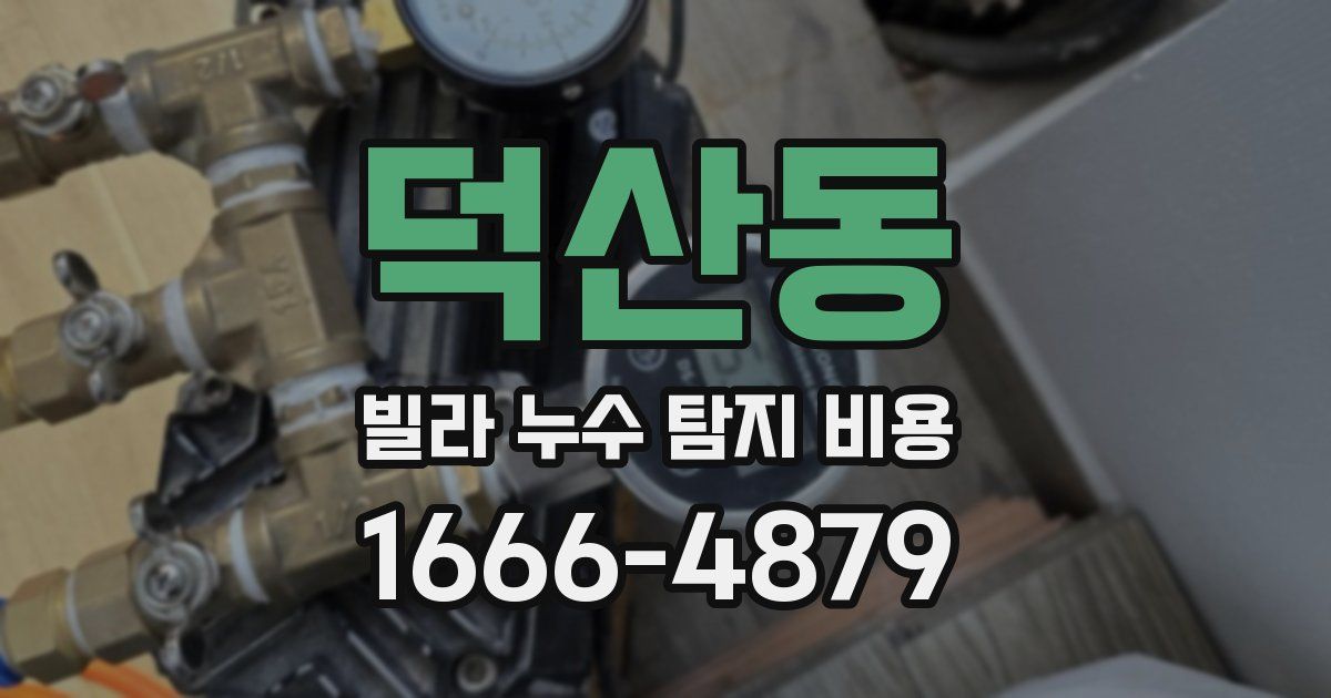 덕산동 빌라 누수 탐지 비용