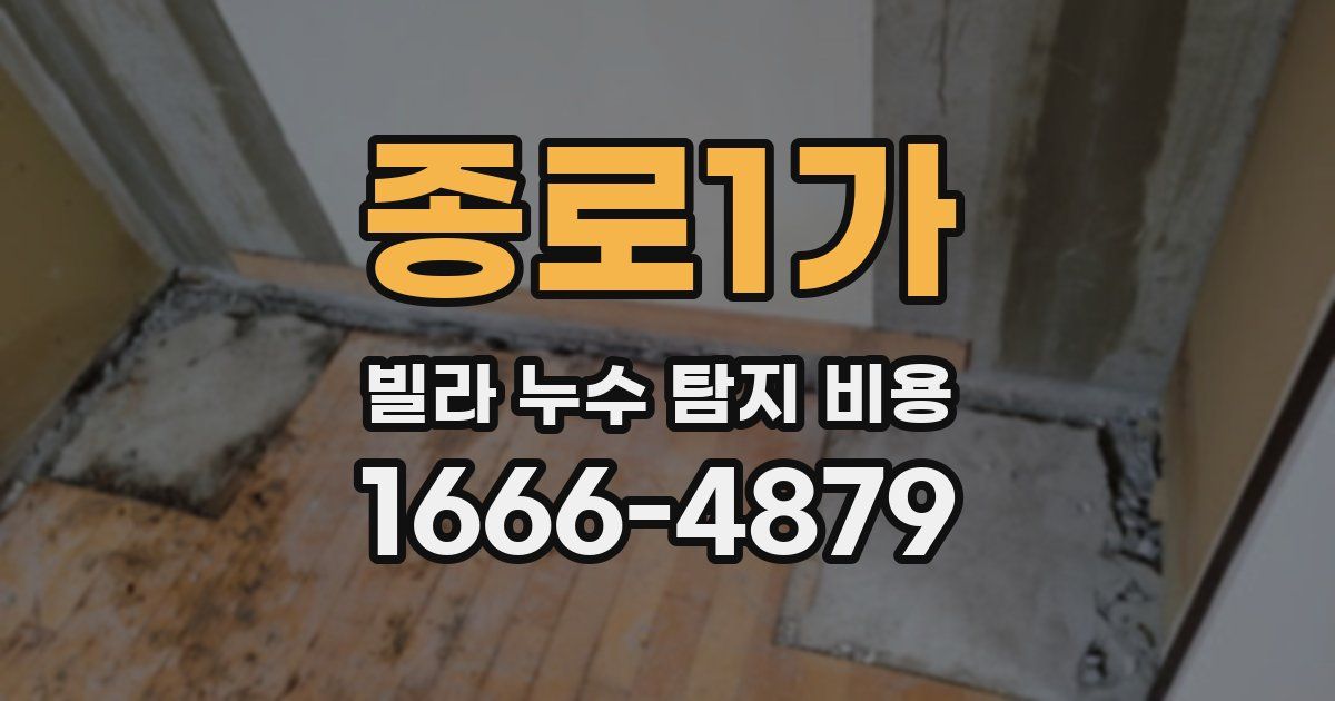 종로1가 빌라 누수 탐지 비용