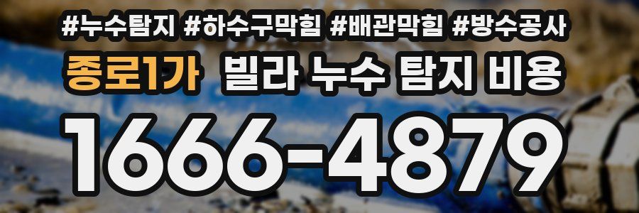종로1가 빌라 누수 탐지 비용