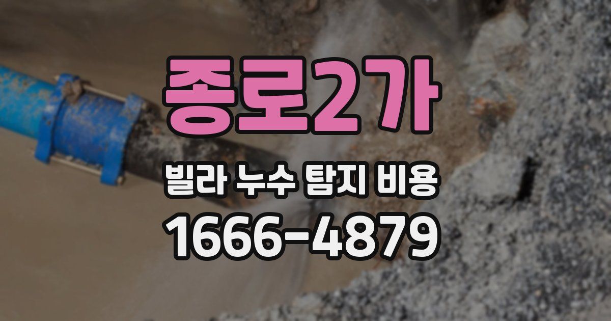 종로2가 빌라 누수 탐지 비용