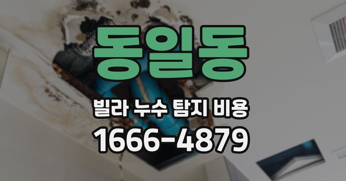 동일동 빌라 누수 탐지 비용