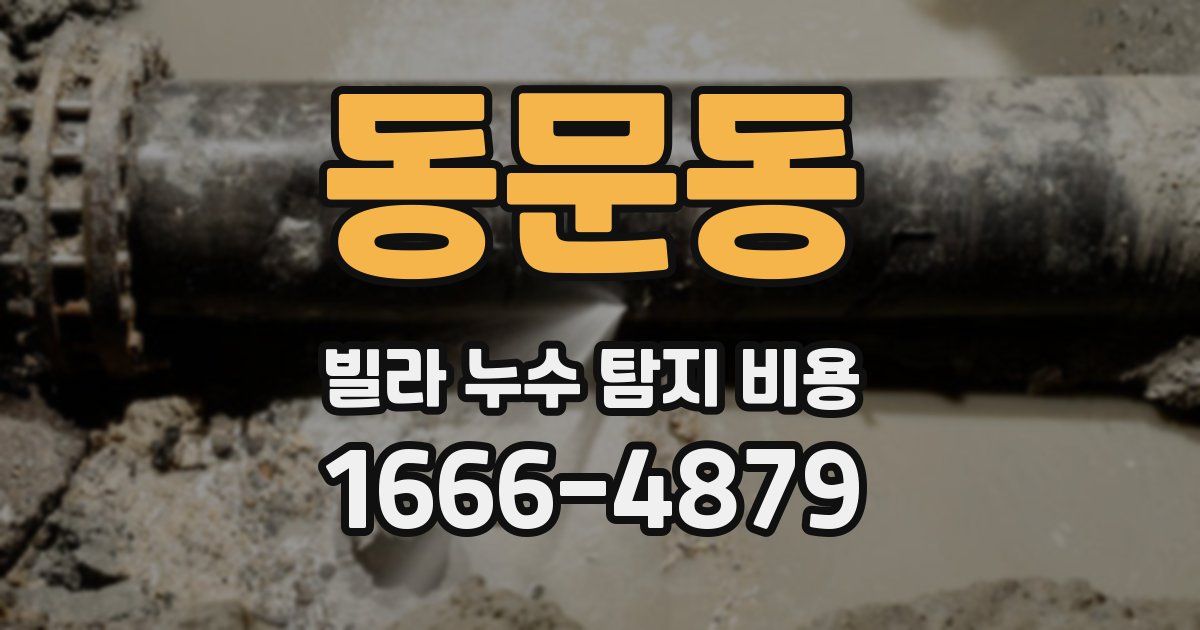 동문동 빌라 누수 탐지 비용