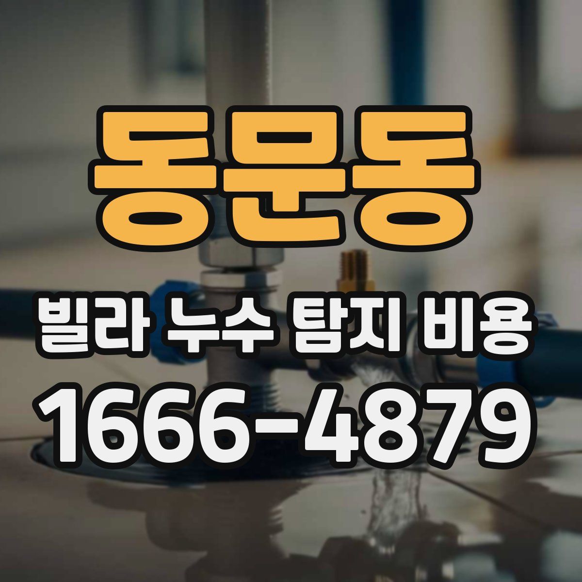 동문동 빌라 누수 탐지 비용