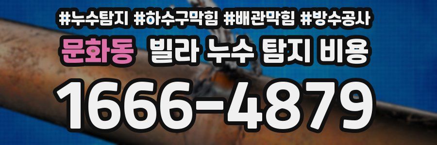 문화동 빌라 누수 탐지 비용