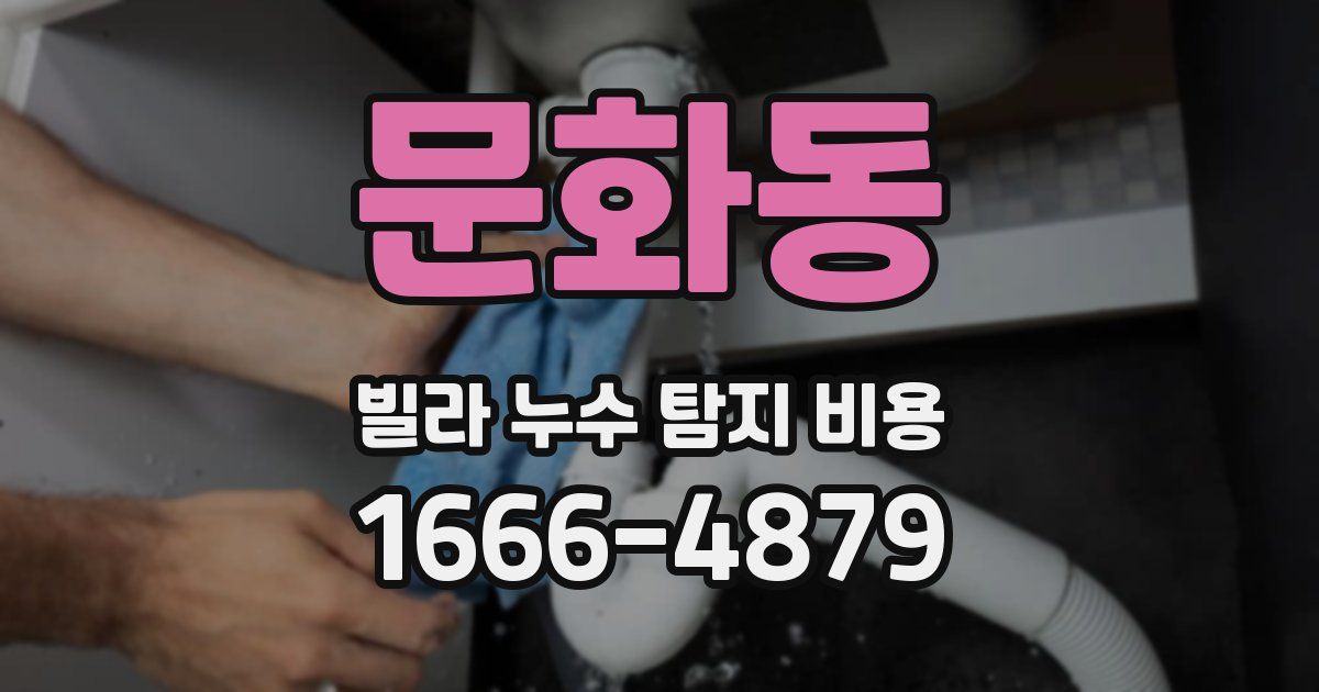 문화동 빌라 누수 탐지 비용