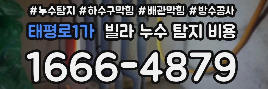 태평로1가 빌라 누수 탐지 비용
