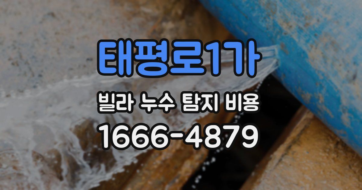 태평로1가 빌라 누수 탐지 비용