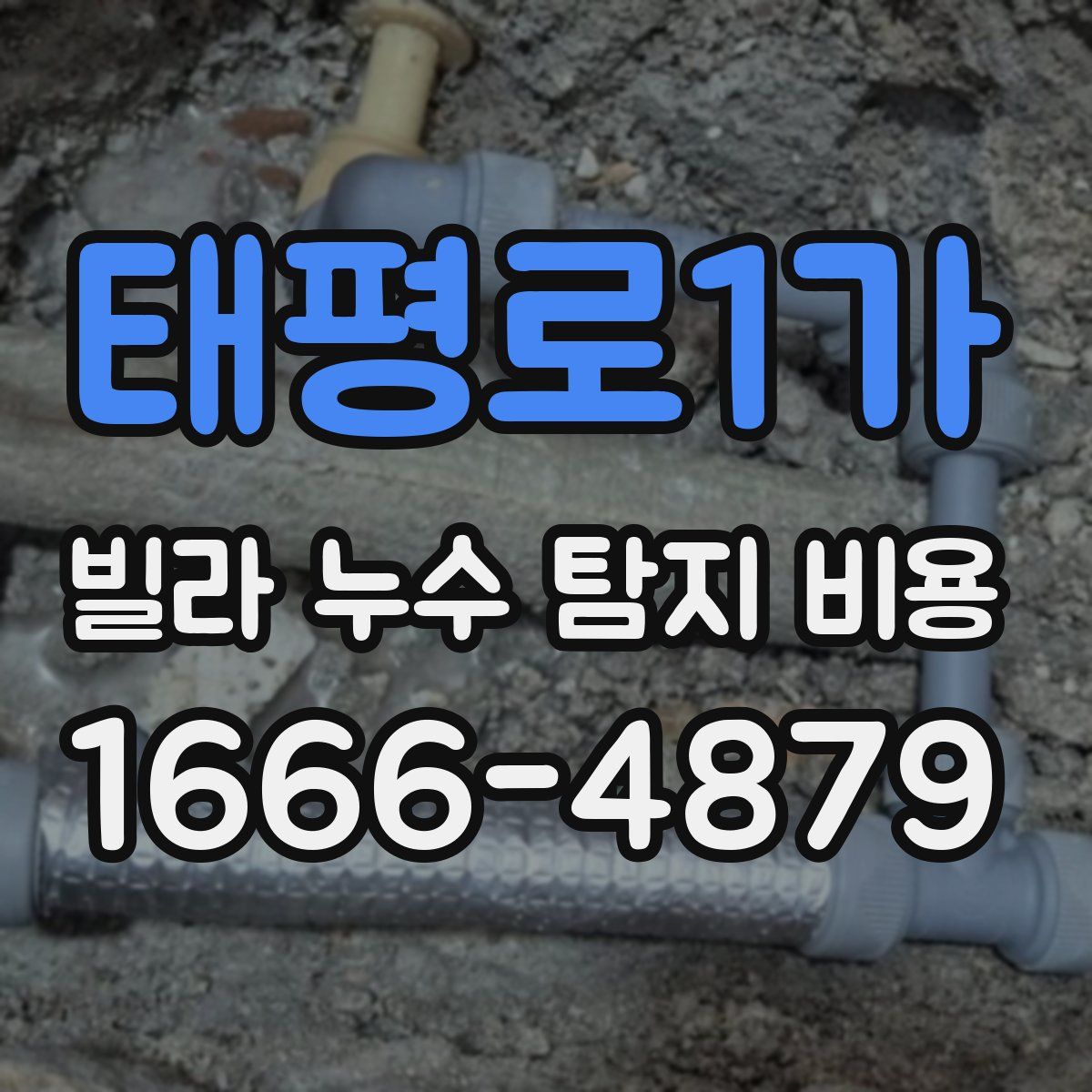 태평로1가 빌라 누수 탐지 비용