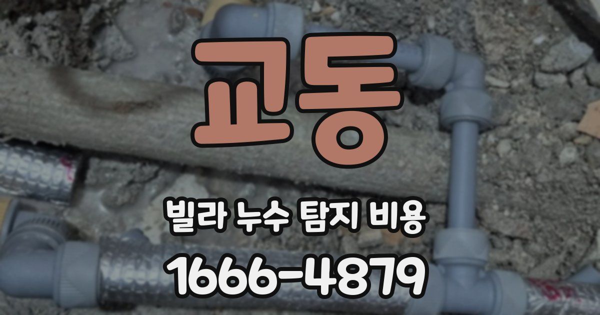 교동 빌라 누수 탐지 비용