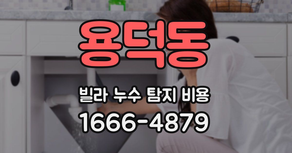 용덕동 빌라 누수 탐지 비용