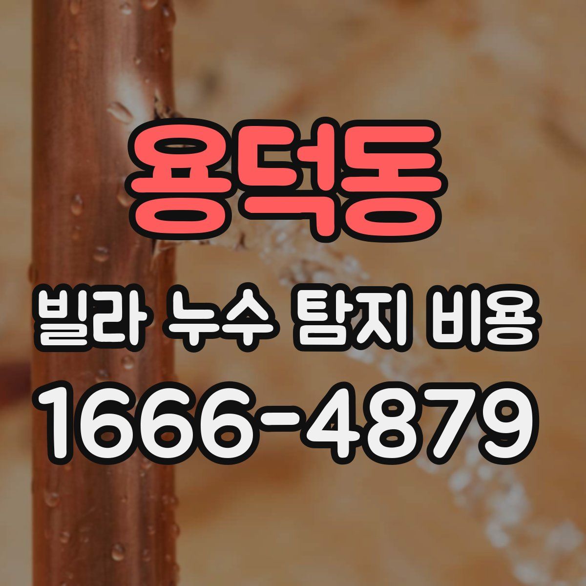 용덕동 빌라 누수 탐지 비용
