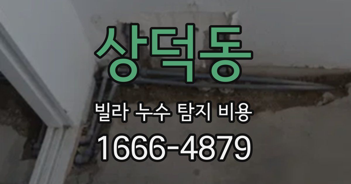 상덕동 빌라 누수 탐지 비용